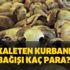 Mehmetçik Vakfı kurbanlık bağış 2020 fiyatları - Kızılay vekaleten kurbanlık fiyatı 2020 ne kadar?