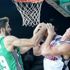 Darüşşafaka Doğuş Almanya deplasmanında