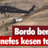 Sığırcıkların Hazin Sonu