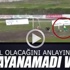 Gol olacağını anlayınca dayanamadı ve... Gol olacağını anlayınca dayanamadı ve...