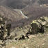 Tunceli'de teröristlere ait 4 sığınak yerle bir edildi Tunceli'de teröristlere ait 4 sığınak yerle bir edildi