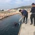 İzmir kış trofesi ve Çeşme’de kalamar…