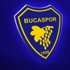 Bucaspor'dan puan silme isyanı