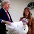ABD Başkanı Trump, Şükran Günü için iki hindiyi affetti
