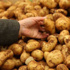 Patates fiyatları düşüyor!