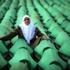 Srebrenitsa davasında temyiz başvurusu sonuçlandı