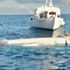 Bodrum'da açıklarında tekne battı Bodrum'da açıklarında tekne battı