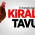 Kiralık Tavuk Haftada 10 Yumurta Garanti