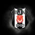 Kartal darphane gibi