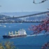 İstanbul hava durumu