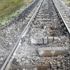 Bingöl'de tren geçişi sırasında patlama Bingöl'de tren geçişi sırasında patlama