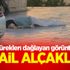 İsrail alçaklığı! İsrail alçaklığı!