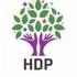 Leyla Zana aday adaylığı başvurusu yaptı