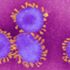 Koronavirüs (Covid-19): Dünya Sağlık Örgütü koronavirüsü pandemi ilan etti - Pandemi nedir, ülkeleri nasıl etkiler?