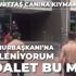 İşsiz yurttaş canına kıymak istedi İşsiz yurttaş canına kıymak istedi