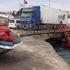 Gelibolu'da 2,5 ton kum midyesi ve 400 kilo deniz patlıcanı ele geçirildi