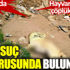 Sakarya’da vahşet. Hayvanseverler çöplükte buldu. Baro suç duyurusunda bulunacak Sakarya’da vahşet. Hayvanseverler çöplükte buldu. Baro suç duyurusunda bulunacak