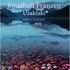 Jonathan Franzen'dan “Uzaktaki”