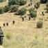 Şırnak'ta çatışma! Yaralı askerler var