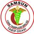 Samsun Tabip Odası: Kentte 400 civarı pozitif vaka var Samsun Tabip Odası: Kentte 400 civarı pozitif vaka var