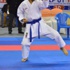 Türkiye Büyükler Karate Şampiyonası