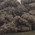 Sinabung Yanardağı için en yüksek seviyede alarm