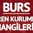 Burs veren kurumlar hangileri? KYK harici hangi kurumlar burs veriyor? (2017 BURS VEREN VAKIFLAR)