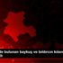 Yaralı halde bulunan baykuş ve bıldırcın kılavuzu ...