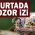 Kuş yumurtalarının renklerinde dinozor etkisi Kuş yumurtalarının renklerinde dinozor etkisi