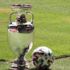 Adım adım finale! EURO 2020'de yarı final eşleşmeleri belli oldu Adım adım finale! EURO 2020'de yarı final eşleşmeleri belli oldu
