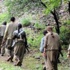 Şırnak’ta 8 PKK'lı teslim oldu