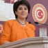 Leyle Zana Adaylık Başvurusunu Yaptı