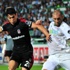 Kartal mı? Timsah mı? Kartal mı? Timsah mı?