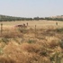 DEAŞ ile asker burun buruna