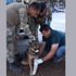 Türk Ordusu, her canlının yarasını sarıyor
