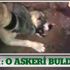 TSK: O askeri bulduk