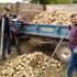 Simav da şeker pancarı üretimi durma noktasına geldi