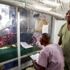 Ebola’nın tedavisi bulundu Ebola’nın tedavisi bulundu