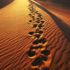 Suudi Arabistan’da 120 bin yıllık ayak izleri bulundu