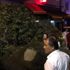 Kadıköy’de asırlık ağaç kafenin üzerine devrildi: 2 yaralı Kadıköy’de asırlık ağaç kafenin üzerine devrildi: 2 yaralı