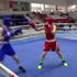 Türkiye Boks Şampiyonası sona erdi