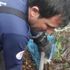 Ağaç kütüğüne sıkışan yavru köpek kurtarıldı Ağaç kütüğüne sıkışan yavru köpek kurtarıldı