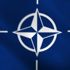 Rus uzman: Türk ordusu, NATO'nun en büyük ikinci ordusu, sadece sözlü çatışma yaşanıyor