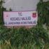Kocaeli’de 251 kök kenevir ele geçirildi Kocaeli’de 251 kök kenevir ele geçirildi
