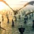 Hacker’lar HBO’dan fidye istiyor