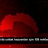 Muratpaşa da sokak hayvanları için 106 noktaya mama ... Muratpaşa da sokak hayvanları için 106 noktaya mama ...