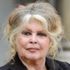 Brigitte Bardot: #MeeToo kadınları sadece ünlü olmak istiyor