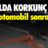 Bartın'daki Sokak Hayvanları Evlerine Kavuştu Bartın'daki Sokak Hayvanları Evlerine Kavuştu