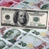 Dolar 2.48 lirayı aşarak yeni rekor düzeye yükseldi Dolar 2.48 lirayı aşarak yeni rekor düzeye yükseldi