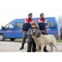 Jandarmadan ‘Kangal’ Operasyonu